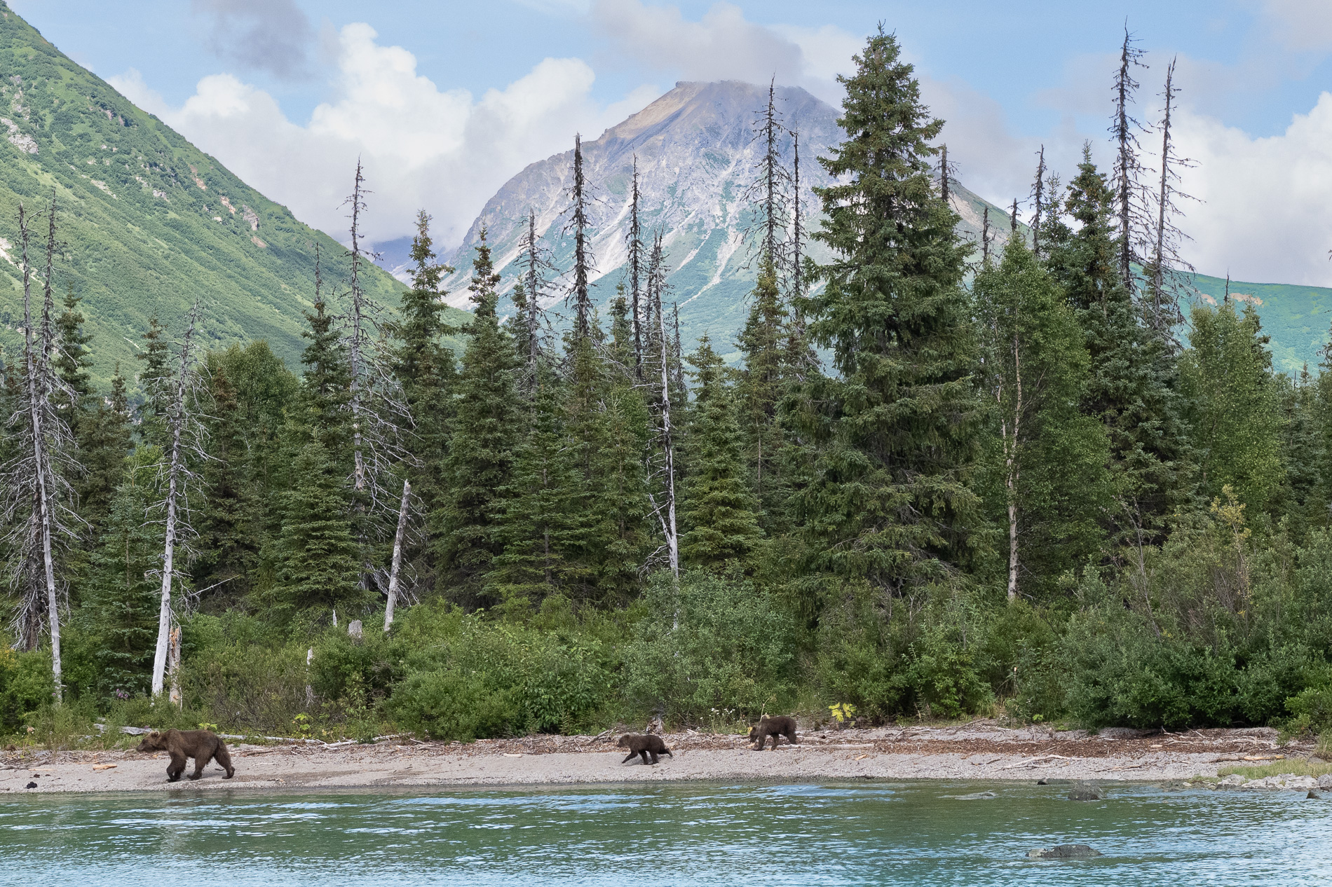 Lake Clark NP
